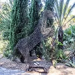 Hippocampe