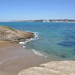 Hippocampe Sanary-sur-Mer