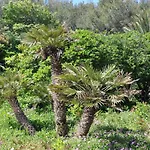 Hippocampe 4* Sanary-sur-Mer