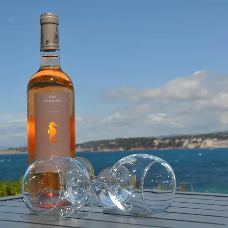 Hippocampe 住宿加早餐酒店 4*