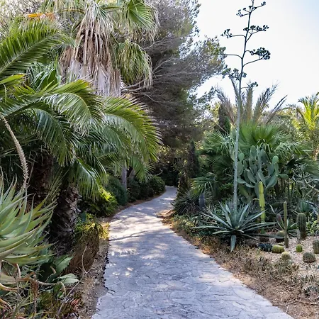 Hippocampe 滨海萨纳里