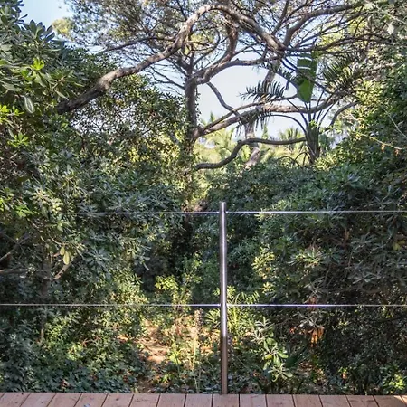 Hippocampe 住宿加早餐酒店 滨海萨纳里