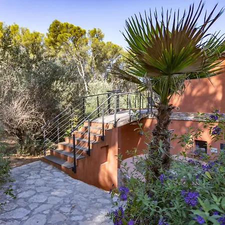 Bed & Breakfast Hippocampe Sanary-sur-Mer