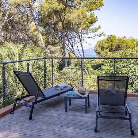 Hippocampe Sanary-sur-Mer