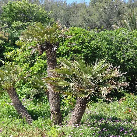 Hippocampe 4* 滨海萨纳里