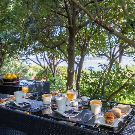 Hippocampe 滨海萨纳里