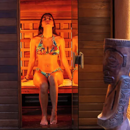 Hippocampe 滨海萨纳里