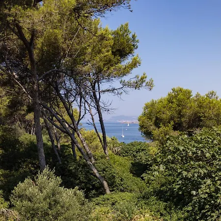 Frühstückspension Hippocampe Sanary-sur-Mer