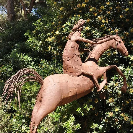 Hippocampe 4*