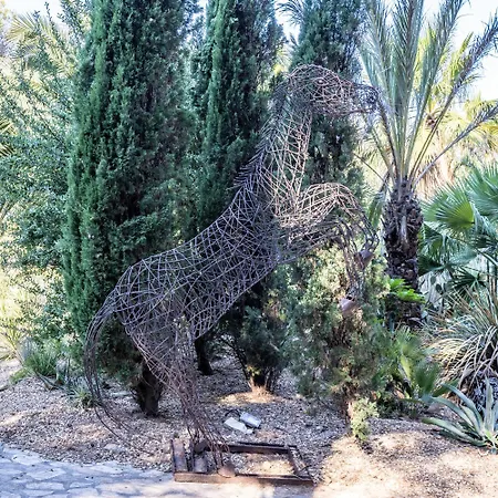 Hippocampe