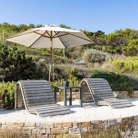 Hippocampe Sanary-sur-Mer