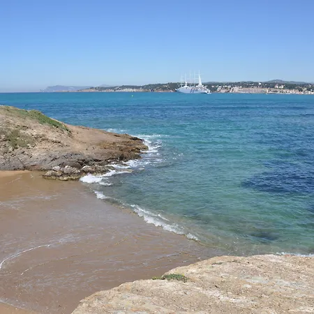 Hippocampe Sanary-sur-Mer