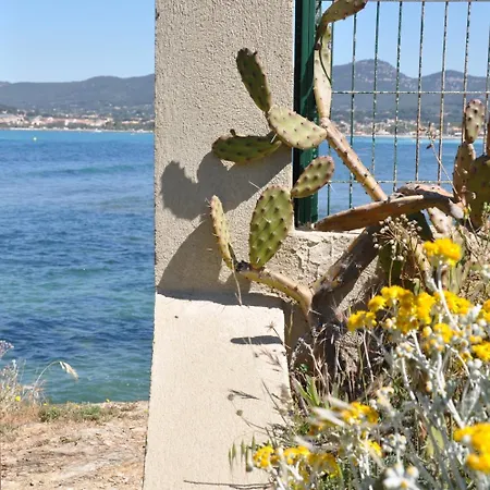 Hippocampe Frühstückspension 4*