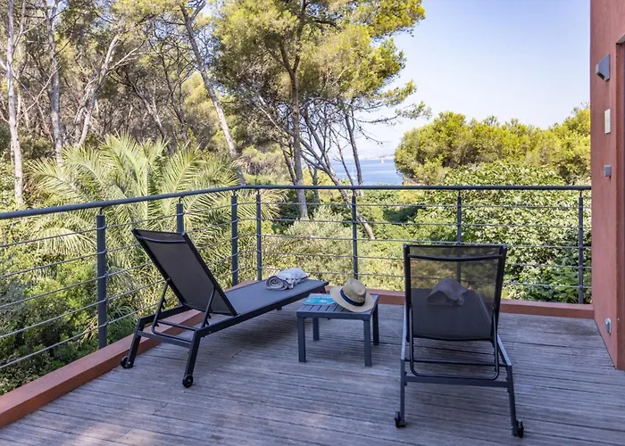 Hippocampe Sanary-sur-Mer