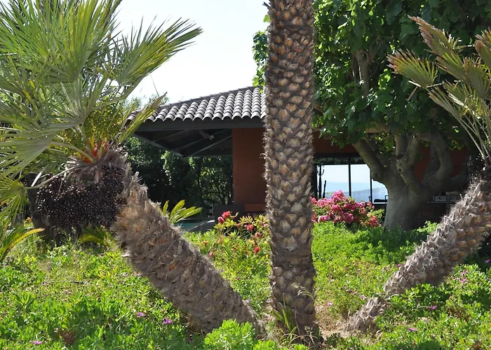 Hippocampe Bed & Breakfast Sanary-sur-Mer